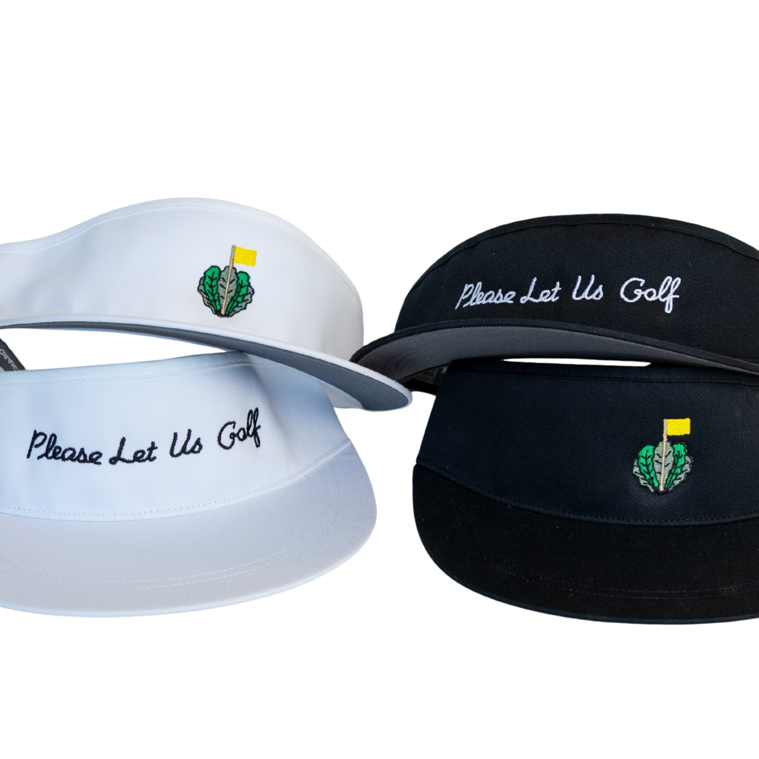 Visors